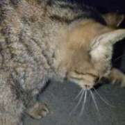 ヒメ日記 2025/02/27 22:31 投稿 三日月姫 螢