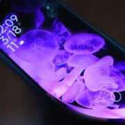 ヒメ日記 2025/03/19 18:29 投稿 三日月姫 螢