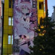 ヒメ日記 2025/05/08 21:40 投稿 三日月姫 螢