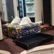 ヒメ日記 2025/05/11 11:15 投稿 三日月姫 螢