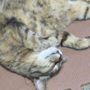 ヒメ日記 2025/05/31 22:55 投稿 三日月姫 螢