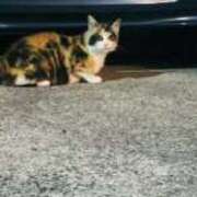 ヒメ日記 2025/06/17 22:56 投稿 三日月姫 螢