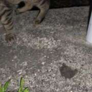 ヒメ日記 2025/06/27 23:58 投稿 三日月姫 螢