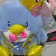 ヒメ日記 2025/07/23 16:55 投稿 三日月姫 螢