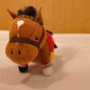 ヒメ日記 2025/09/20 18:41 投稿 三日月姫 螢