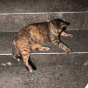 ヒメ日記 2025/09/22 22:30 投稿 三日月姫 螢