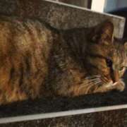 ヒメ日記 2025/09/29 23:15 投稿 三日月姫 螢