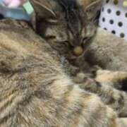 ヒメ日記 2026/01/31 12:19 投稿 三日月姫 螢