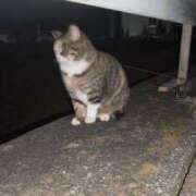 ヒメ日記 2026/02/05 23:34 投稿 三日月姫 螢