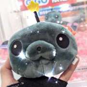 ヒメ日記 2025/09/27 18:38 投稿 えり 新妻物語