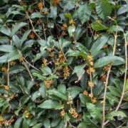 ヒメ日記 2025/10/19 13:28 投稿 えり 新妻物語