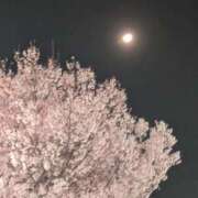 ヒメ日記 2026/03/25 22:08 投稿 えり 新妻物語