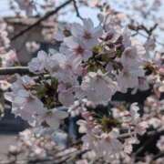 ヒメ日記 2026/03/29 18:45 投稿 えり 新妻物語