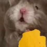 ヒメ日記 2025/04/10 09:09 投稿 はる SKY(スカイ)