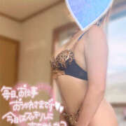 ヒメ日記 2025/06/23 18:23 投稿 かなで 若妻淫乱倶楽部