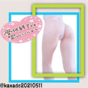 ヒメ日記 2025/09/29 06:01 投稿 かなで 若妻淫乱倶楽部