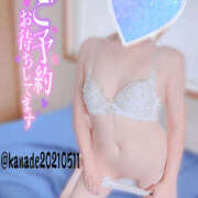 ヒメ日記 2025/09/30 00:17 投稿 かなで 若妻淫乱倶楽部