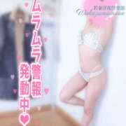 ヒメ日記 2025/11/22 22:43 投稿 かなで 若妻淫乱倶楽部