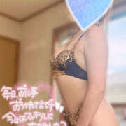 ヒメ日記 2025/06/23 18:24 投稿 かなで 若妻淫乱倶楽部 久喜店