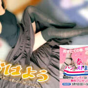 ヒメ日記 2026/03/31 12:29 投稿 かなで 若妻淫乱倶楽部 久喜店