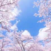 ヒメ日記 2026/04/15 13:30 投稿 あずさ☆ 粋美　suibi