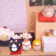 ヒメ日記 2025/02/09 12:29 投稿 ともえ 水戸デブ専肉だんご＆人妻浮気現場