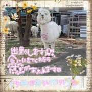 ヒメ日記 2025/02/10 21:45 投稿 ともえ 水戸デブ専肉だんご＆人妻浮気現場