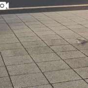 ヒメ日記 2025/02/09 22:44 投稿 五反田みなみ THE痴漢電車.com