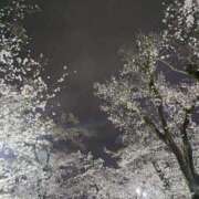 ヒメ日記 2025/04/05 08:03 投稿 五反田みなみ THE痴漢電車.com