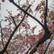 ヒメ日記 2025/04/06 08:33 投稿 五反田みなみ THE痴漢電車.com