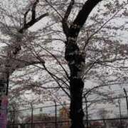 ヒメ日記 2025/04/07 08:11 投稿 五反田みなみ THE痴漢電車.com