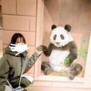 ヒメ日記 2025/12/31 09:23 投稿 五反田みなみ THE痴漢電車.com