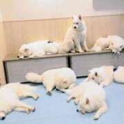 ヒメ日記 2026/01/20 08:03 投稿 五反田みなみ THE痴漢電車.com