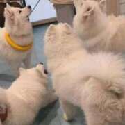 ヒメ日記 2026/01/21 08:03 投稿 五反田みなみ THE痴漢電車.com