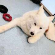 ヒメ日記 2026/01/22 20:23 投稿 五反田みなみ THE痴漢電車.com