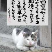 ヒメ日記 2026/02/01 08:13 投稿 五反田みなみ THE痴漢電車.com