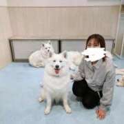 ヒメ日記 2026/02/15 09:33 投稿 五反田みなみ THE痴漢電車.com