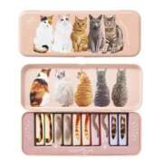 ヒメ日記 2026/02/22 23:13 投稿 五反田みなみ THE痴漢電車.com