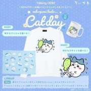 ヒメ日記 2026/02/24 15:13 投稿 五反田みなみ THE痴漢電車.com