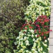 ヒメ日記 2026/04/03 06:23 投稿 五反田みなみ THE痴漢電車.com