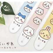 ヒメ日記 2026/04/16 07:43 投稿 五反田みなみ THE痴漢電車.com