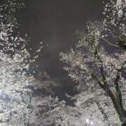 ヒメ日記 2025/04/05 07:43 投稿 浅倉みなみ 全裸美女からのカゲキな誘惑