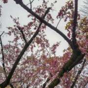 ヒメ日記 2025/04/06 08:19 投稿 浅倉みなみ 全裸美女からのカゲキな誘惑