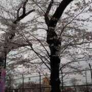 ヒメ日記 2025/04/07 07:52 投稿 浅倉みなみ 全裸美女からのカゲキな誘惑