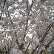 ヒメ日記 2025/04/13 07:52 投稿 浅倉みなみ 全裸美女からのカゲキな誘惑