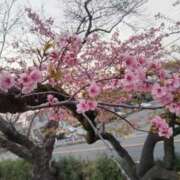 ヒメ日記 2025/04/27 08:02 投稿 浅倉みなみ 全裸美女からのカゲキな誘惑