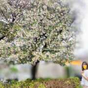 ヒメ日記 2025/05/11 07:48 投稿 浅倉みなみ 全裸美女からのカゲキな誘惑