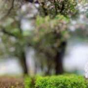 ヒメ日記 2025/05/11 08:22 投稿 浅倉みなみ 全裸美女からのカゲキな誘惑