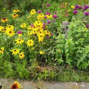 ヒメ日記 2025/06/13 07:43 投稿 浅倉みなみ 全裸美女からのカゲキな誘惑