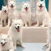 ヒメ日記 2025/09/03 07:42 投稿 浅倉みなみ 全裸美女からのカゲキな誘惑